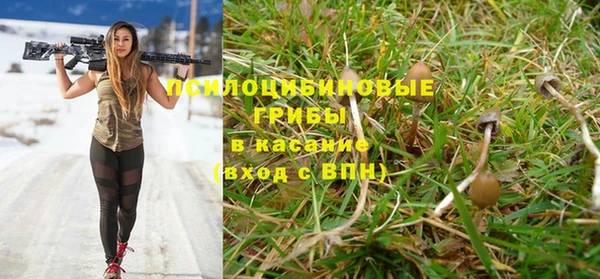 стаф Красноперекопск